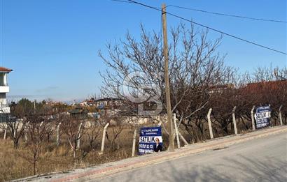 CB DİNAMİKTEN  0.50 EMSAL SATILIK VİLLA ARSASI