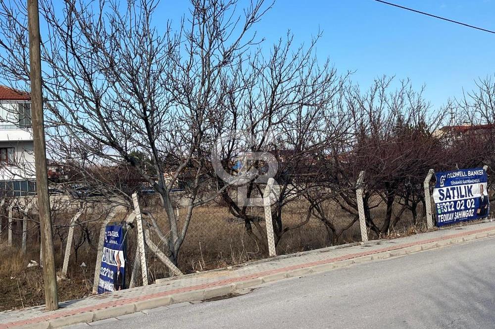 CB DİNAMİKTEN  0.50 EMSAL SATILIK VİLLA ARSASI