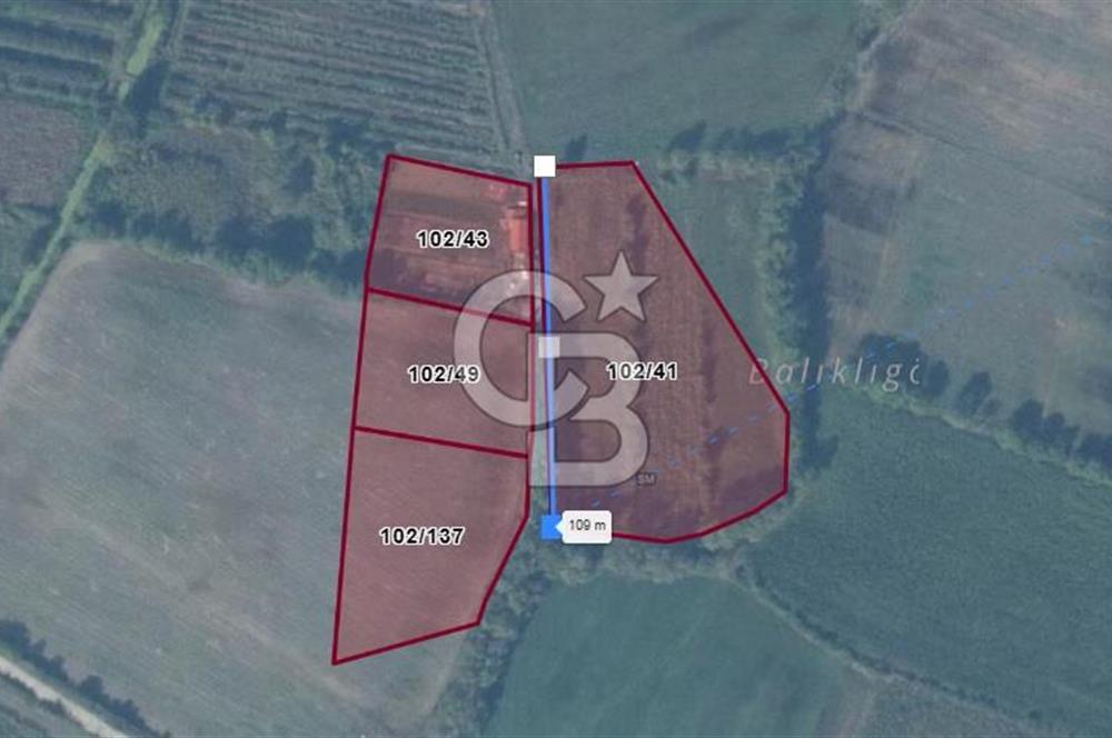 KARASU TUZLA KÖYÜNDE SATILIK MÜSTAKİL TARLA