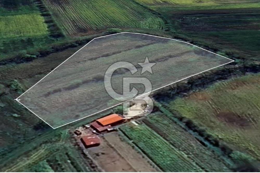 KARASU TUZLA KÖYÜNDE SATILIK MÜSTAKİL TARLA