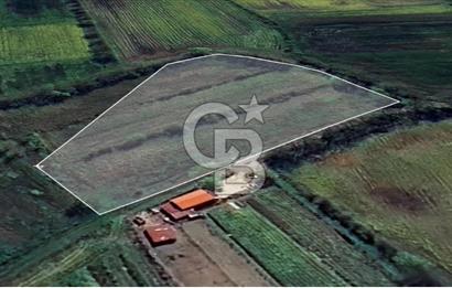 KARASU TUZLA KÖYÜNDE SATILIK MÜSTAKİL TARLA
