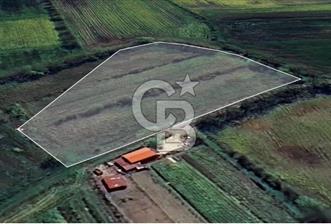 KARASU TUZLA KÖYÜNDE SATILIK MÜSTAKİL TARLA - 1 - 328258