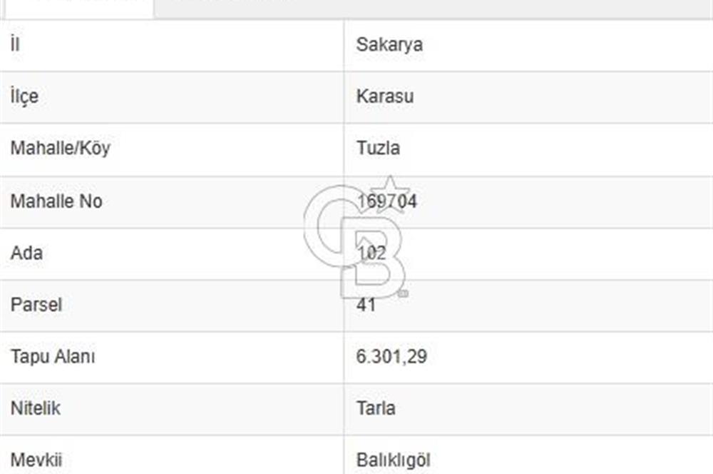 KARASU TUZLA KÖYÜNDE SATILIK MÜSTAKİL TARLA