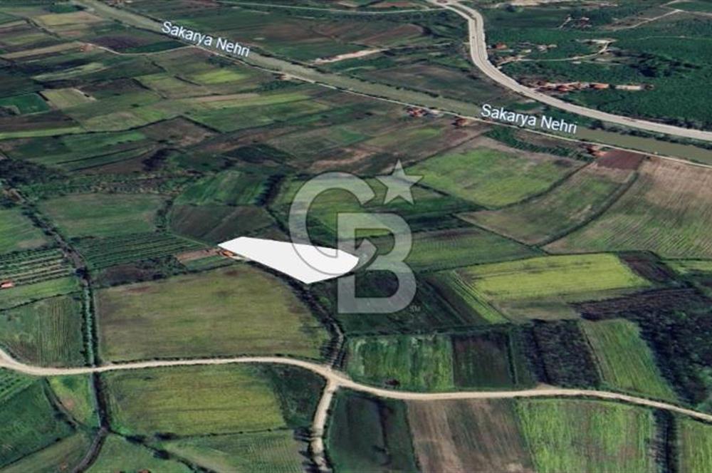 KARASU TUZLA KÖYÜNDE SATILIK MÜSTAKİL TARLA