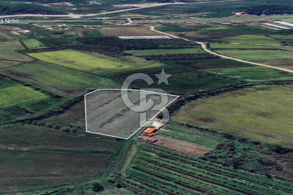 KARASU TUZLA KÖYÜNDE SATILIK MÜSTAKİL TARLA