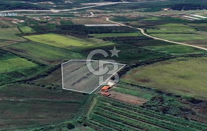 KARASU TUZLA KÖYÜNDE SATILIK MÜSTAKİL TARLA