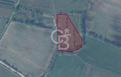 KARASU TUZLA KÖYÜNDE SATILIK MÜSTAKİL TARLA