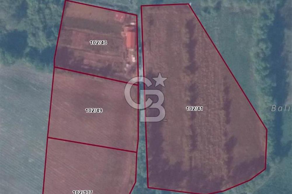 KARASU TUZLA KÖYÜNDE SATILIK MÜSTAKİL TARLA