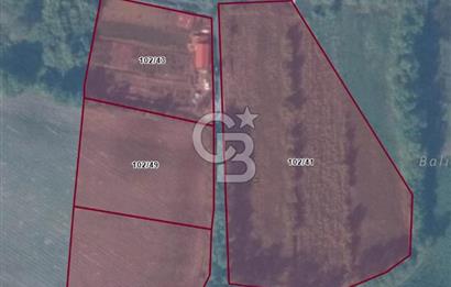 KARASU TUZLA KÖYÜNDE SATILIK MÜSTAKİL TARLA