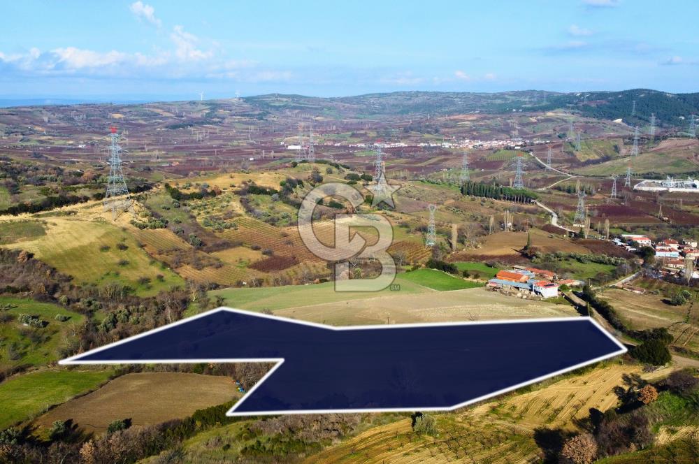 Çanakkale Lapseki Subaşı İmara Çok Yakın 20.904m² Satılık Tarla