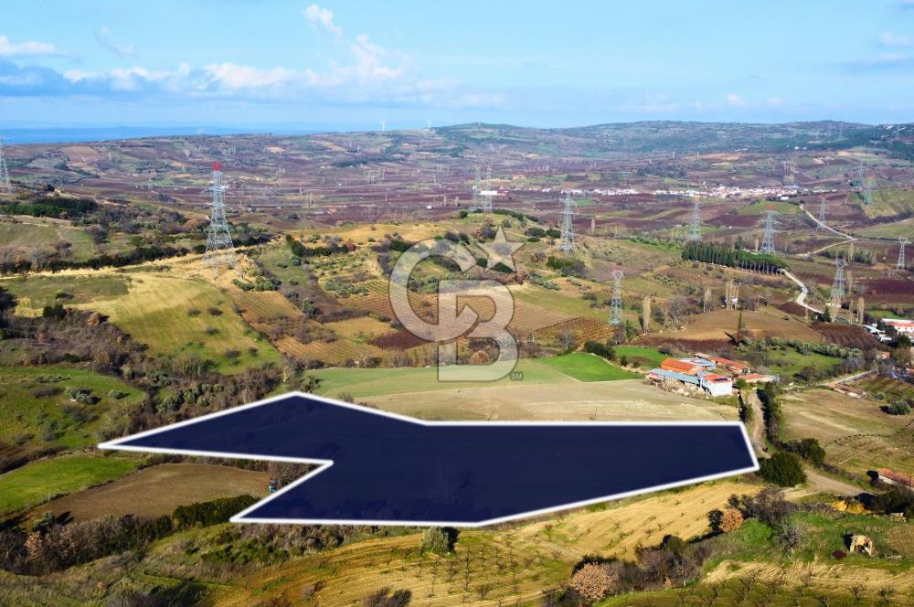 Çanakkale Lapseki Subaşı İmara Çok Yakın 20.904m² Satılık Tarla