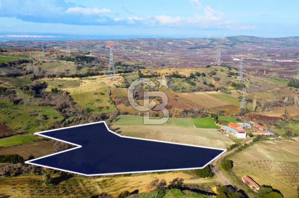 Çanakkale Lapseki Subaşı İmara Çok Yakın 20.904m² Satılık Tarla