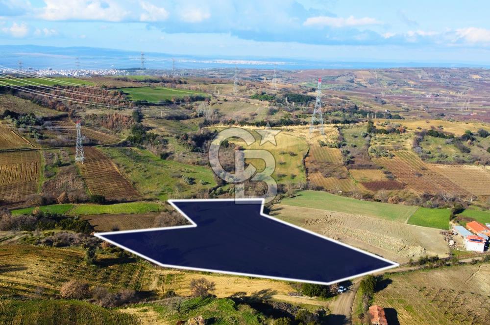 Çanakkale Lapseki Subaşı İmara Çok Yakın 20.904m² Satılık Tarla