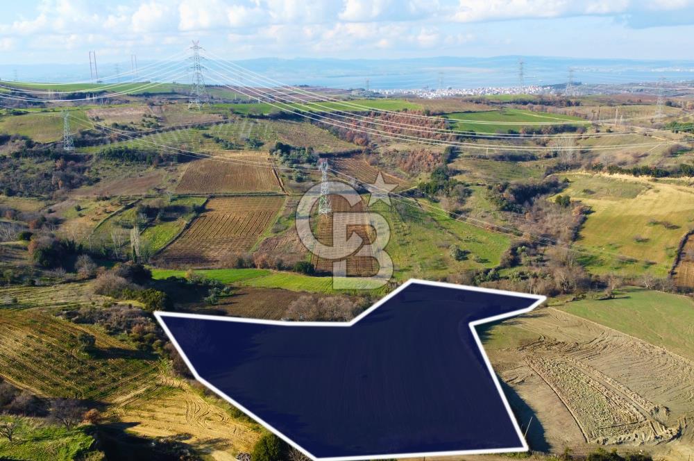 Çanakkale Lapseki Subaşı İmara Çok Yakın 20.904m² Satılık Tarla