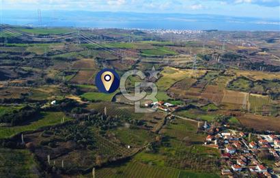 Çanakkale Lapseki Subaşı İmara Çok Yakın 20.904m² Satılık Tarla