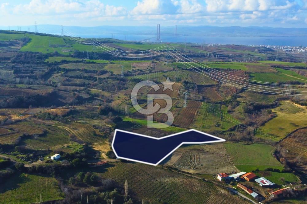 Çanakkale Lapseki Subaşı İmara Çok Yakın 20.904m² Satılık Tarla