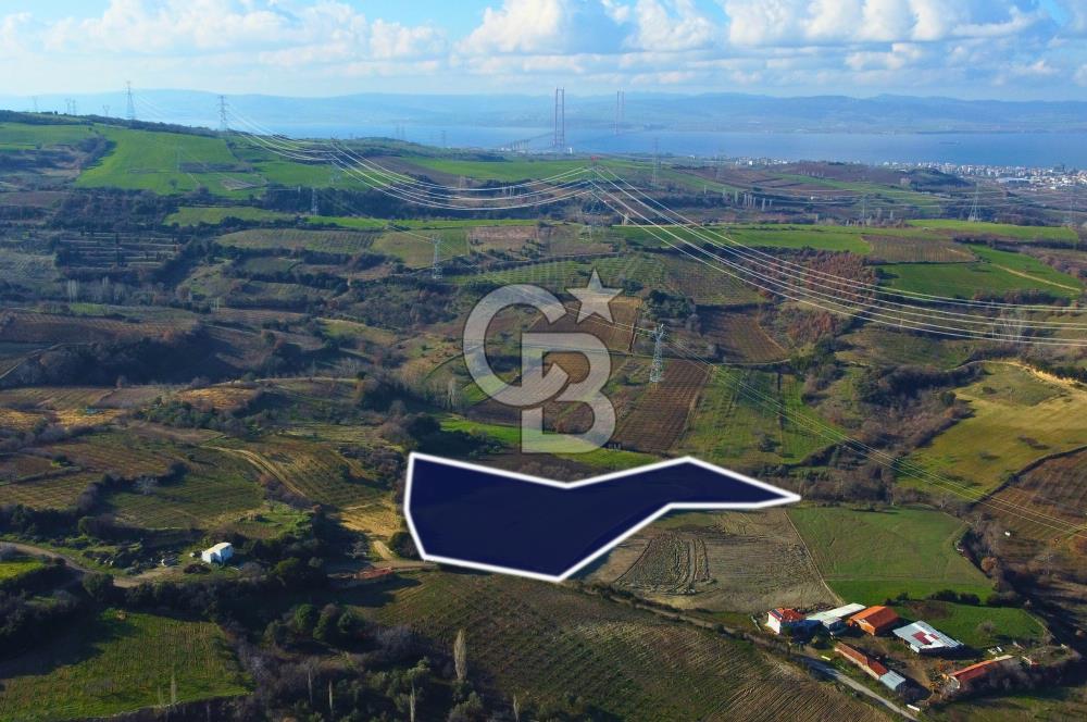 Çanakkale Lapseki Subaşı İmara Çok Yakın 20.904m² Satılık Tarla
