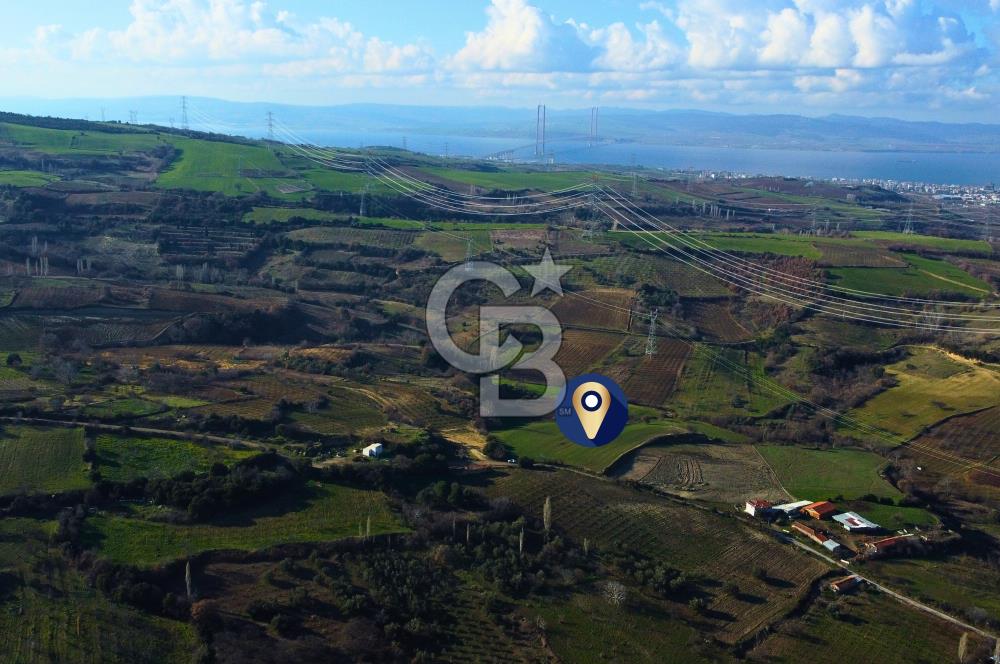 Çanakkale Lapseki Subaşı İmara Çok Yakın 20.904m² Satılık Tarla