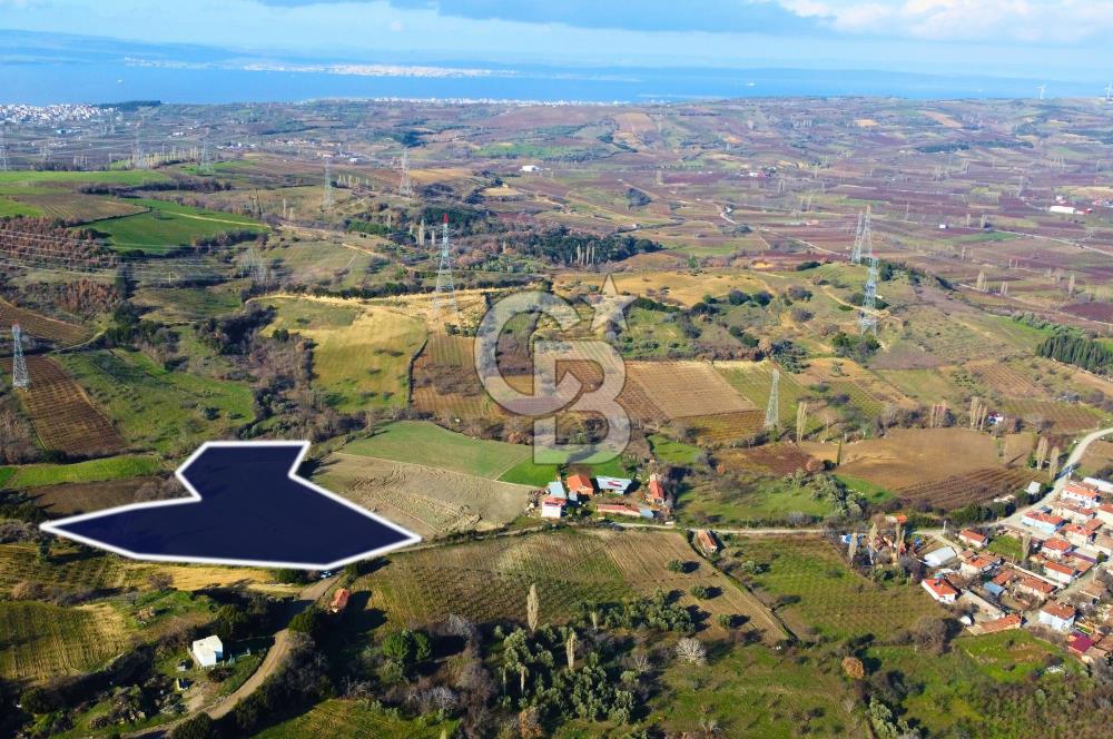 Çanakkale Lapseki Subaşı İmara Çok Yakın 20.904m² Satılık Tarla