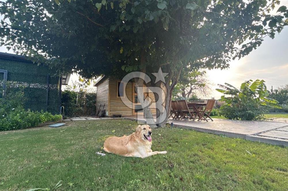 Kuşçular'da 1,7 Dönüm İçerisinde Satılık 5+1 Villa