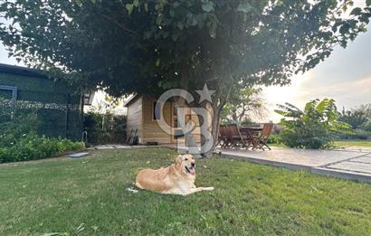 Kuşçular'da 1,7 Dönüm İçerisinde Satılık 5+1 Villa