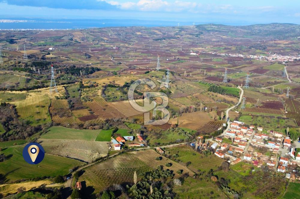 Çanakkale Lapseki Subaşı İmara Çok Yakın 20.904m² Satılık Tarla