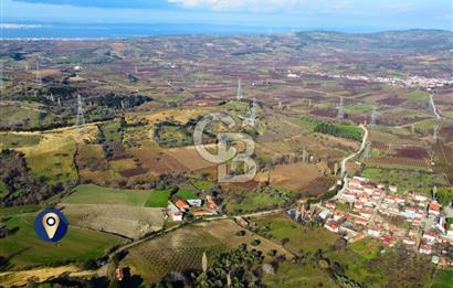Çanakkale Lapseki Subaşı İmara Çok Yakın 20.904m² Satılık Tarla