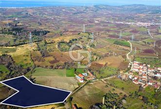 Çanakkale Lapseki Subaşı İmara Çok Yakın 20.904m² Satılık Tarla - 6 - 328334