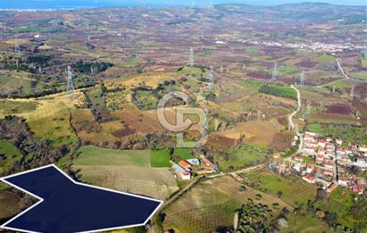 Çanakkale Lapseki Subaşı İmara Çok Yakın 20.904m² Satılık Tarla