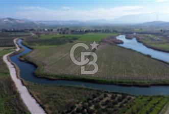 YALI MAHALLESİ ADACIK MEVKİNDE 13800m2 TEK TAPU TARLA - 5 - 328299