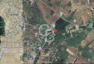 BALIKESİR GÖMEÇDE SATILIK İMARLI ARSA - 1 - 328293