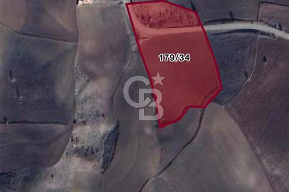 ELMADAĞ KARACAHASAN MAH'DE TEK TAPU 13 DÖNÜM SULU TARLA