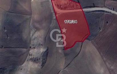 ELMADAĞ KARACAHASAN MAH'DE TEK TAPU 13 DÖNÜM SULU TARLA