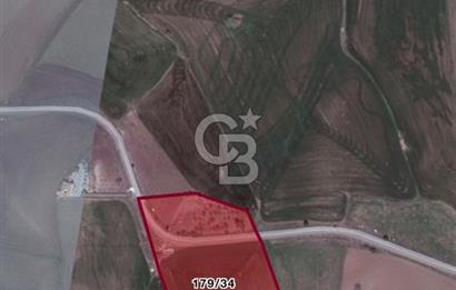 ELMADAĞ KARACAHASAN MAH'DE TEK TAPU 13 DÖNÜM SULU TARLA