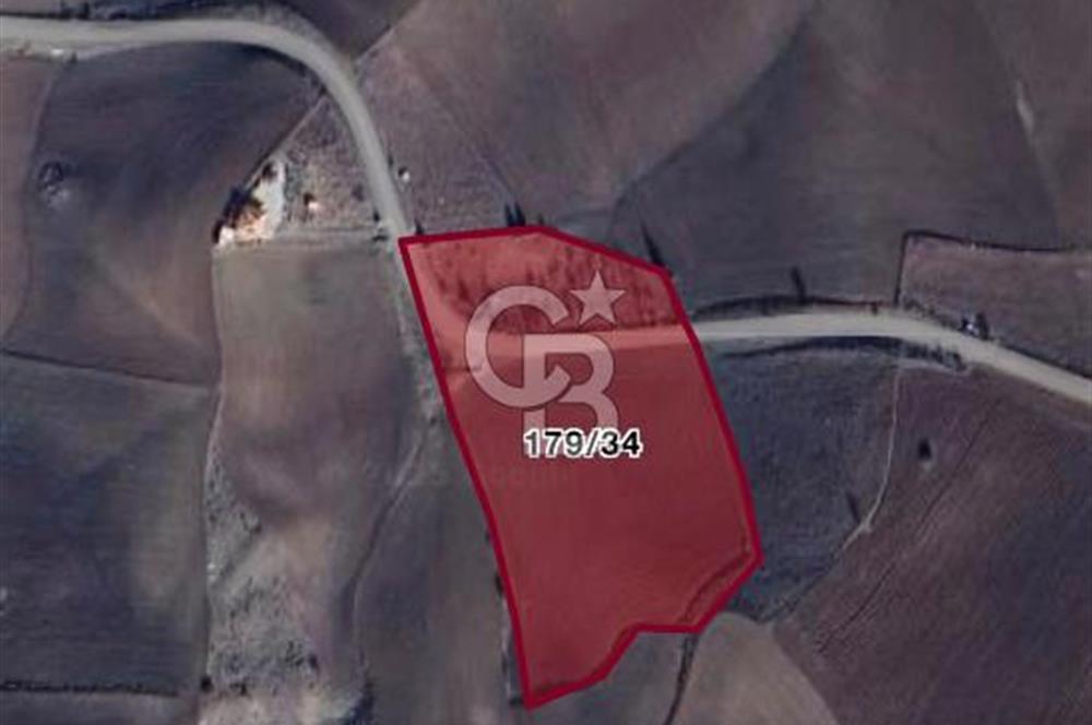 ELMADAĞ KARACAHASAN MAH'DE TEK TAPU 13 DÖNÜM SULU TARLA