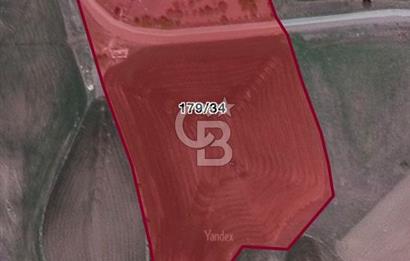 ELMADAĞ KARACAHASAN MAH'DE TEK TAPU 13 DÖNÜM SULU TARLA