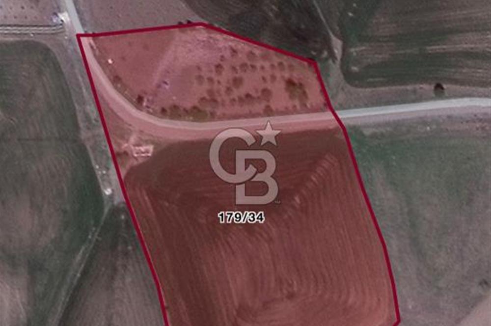 ELMADAĞ KARACAHASAN MAH'DE TEK TAPU 13 DÖNÜM SULU TARLA