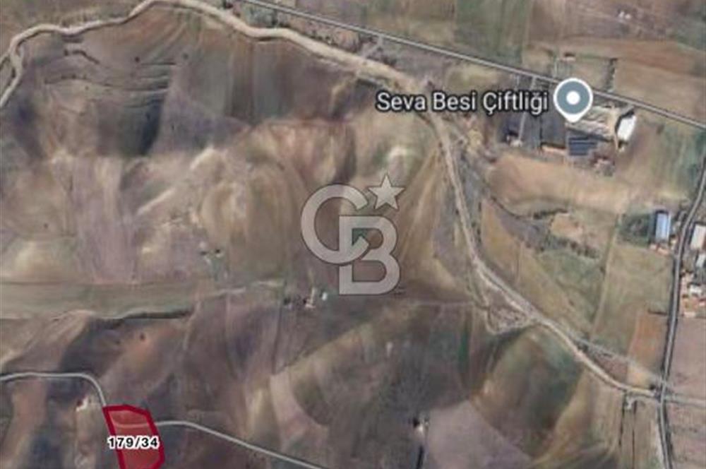 ELMADAĞ KARACAHASAN MAH'DE TEK TAPU 13 DÖNÜM SULU TARLA