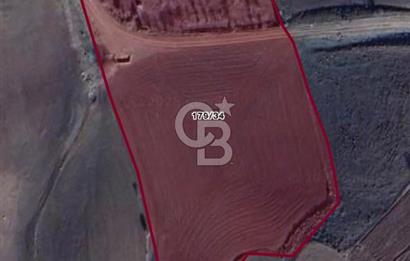 ELMADAĞ KARACAHASAN MAH'DE TEK TAPU 13 DÖNÜM SULU TARLA