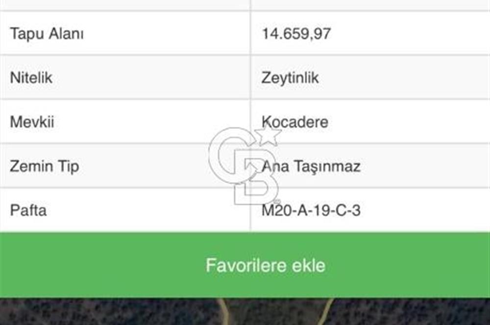  SATILIK AYDIN YENİPAZAR MAHALLESİNDE 2 PARSEL ZEYTİNLİK