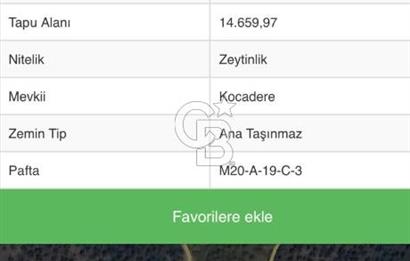  SATILIK AYDIN YENİPAZAR MAHALLESİNDE 2 PARSEL ZEYTİNLİK