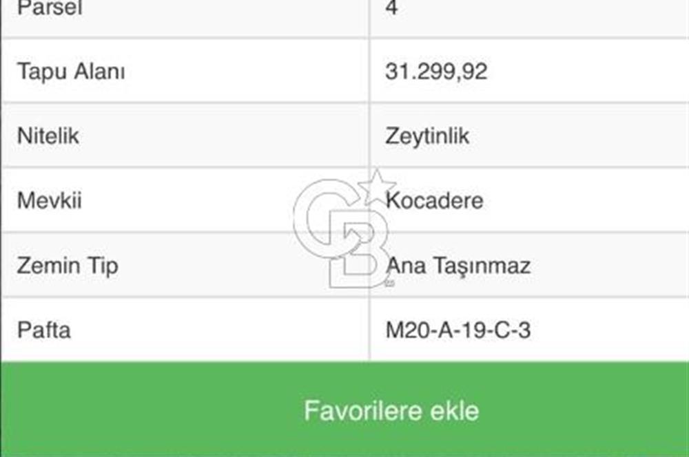 AYDIN YENİPAZAR DA SATILIK ZEYTİNLİK