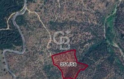  SATILIK AYDIN YENİPAZAR MAHALLESİNDE 2 PARSEL ZEYTİNLİK