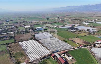 AYDIN  YENİ PAZAR DA  SATILIK TARLA