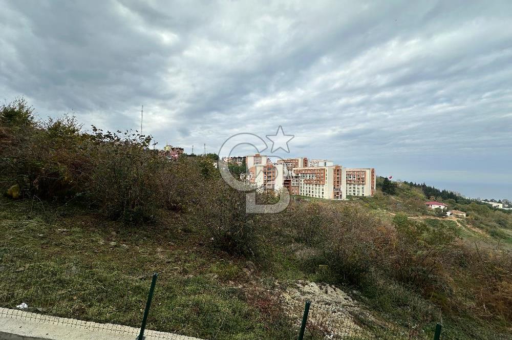 KONAKLAR SIFIR KİRALIK DAİRE