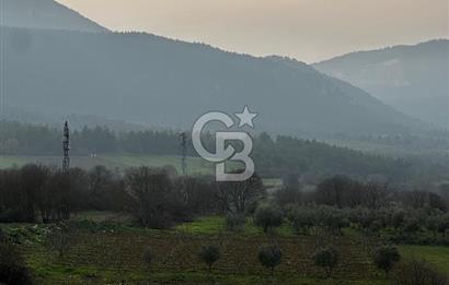 BİLECİK GÖLPAZARI KARAAĞAÇ KÜME EVLER'DE SATILIK 2163 M2 TARLA
