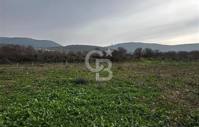 BİLECİK GÖLPAZARI KARAAĞAÇ KÜME EVLER'DE SATILIK 2163 M2 TARLA