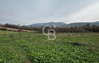 BİLECİK GÖLPAZARI KARAAĞAÇ KÜME EVLER'DE SATILIK 2163 M2 TARLA