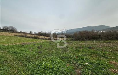 BİLECİK GÖLPAZARI KARAAĞAÇ KÜME EVLER'DE SATILIK 2163 M2 TARLA