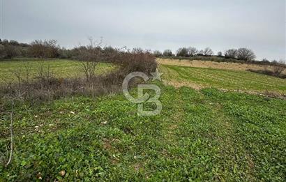 BİLECİK GÖLPAZARI KARAAĞAÇ KÜME EVLER'DE SATILIK 2163 M2 TARLA